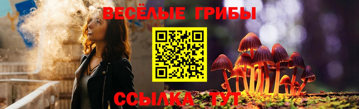 Псилоцибиновые грибы Magic Shrooms Стрежевой