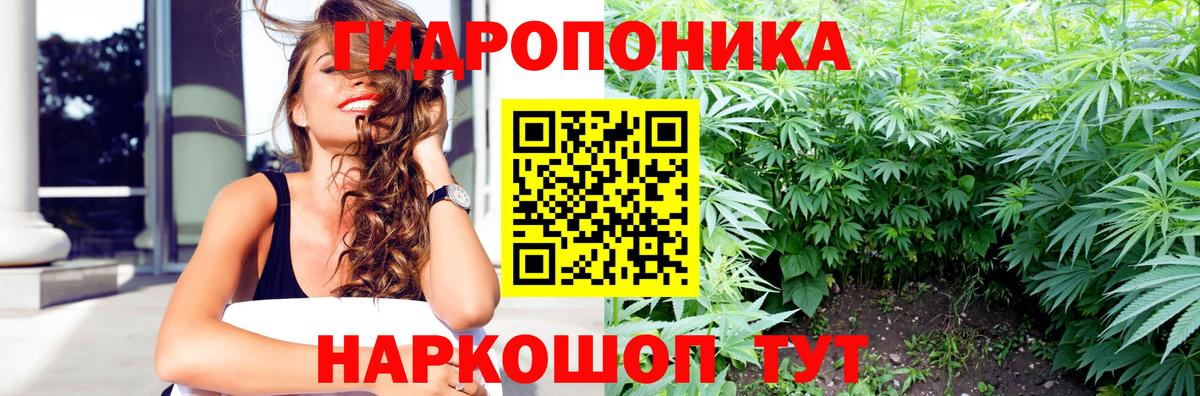 Канабис индика Стрежевой